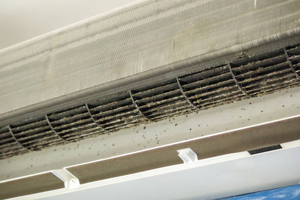 Best Affordable Air Duct Cleaning  in Muniz, TX